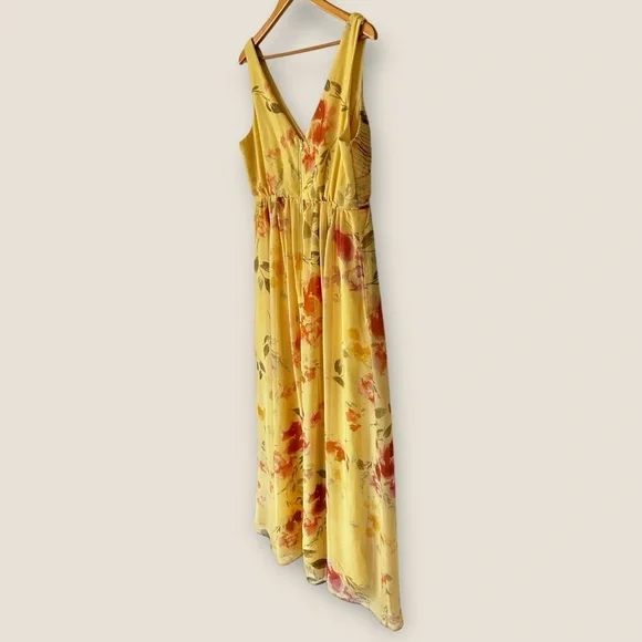 Birdy Grey Laurie Empire Maxi Dress Pale Yellow Rococo Floral - Picture 9 of 13